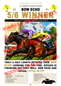 Bow Echo St James’s Palace Stakes Print (Digital)