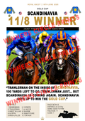 Scandinavia Gold Cup Print (Digital)